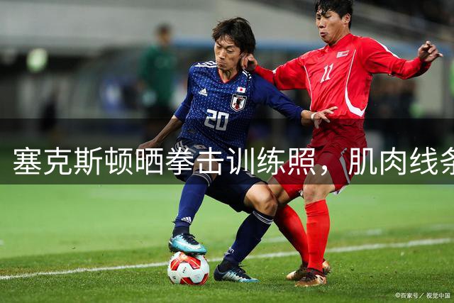 塞克斯顿晒拳击训练照，肌肉线条清晰可见