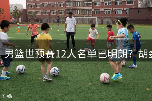 男篮世预赛12人名单已明朗？胡金秋杨瀚森领衔：赵继伟或压哨入选